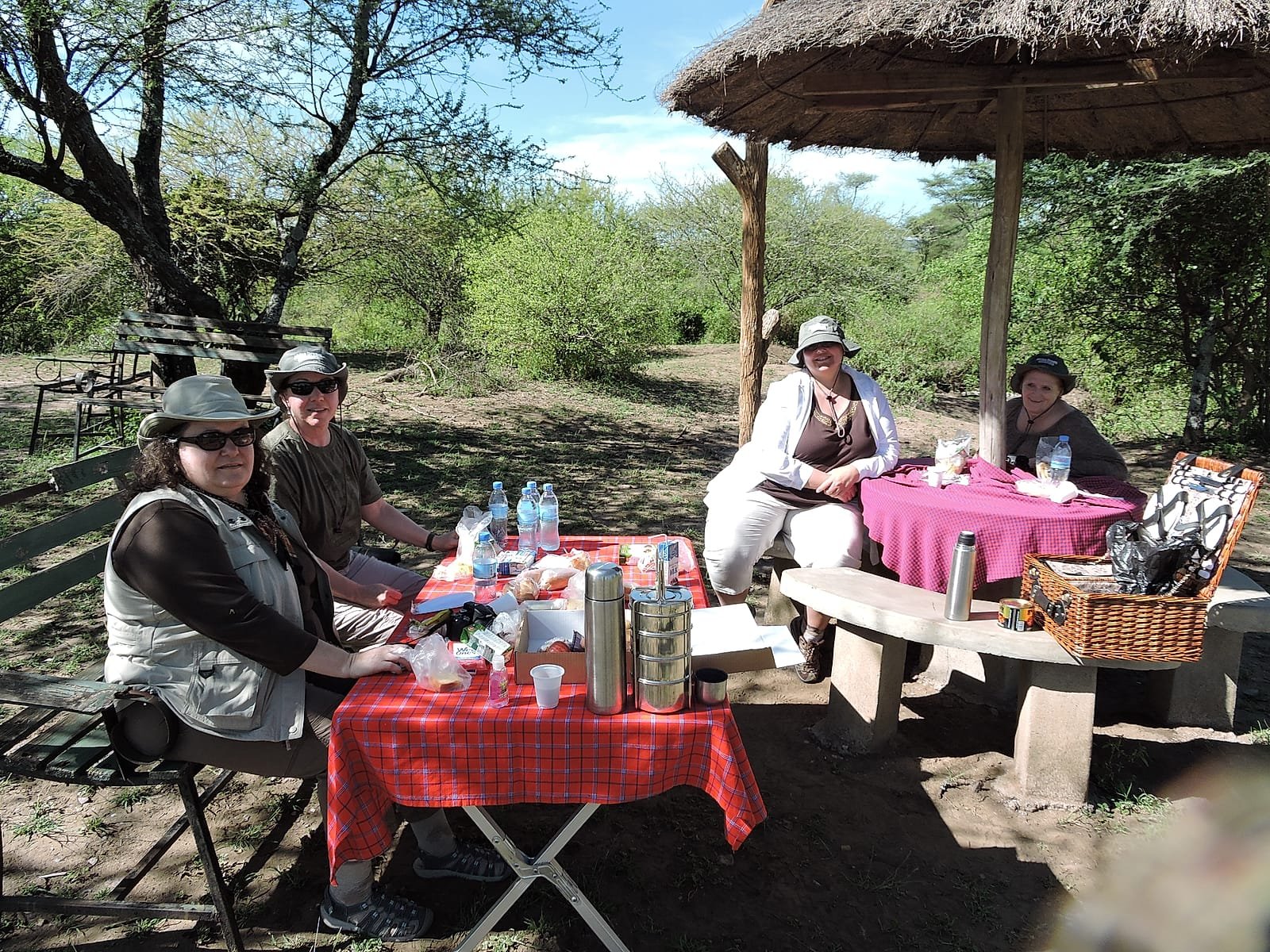 Guests at a bush breakfast in the shade, a red check cloth and a picnic hamper on the tables