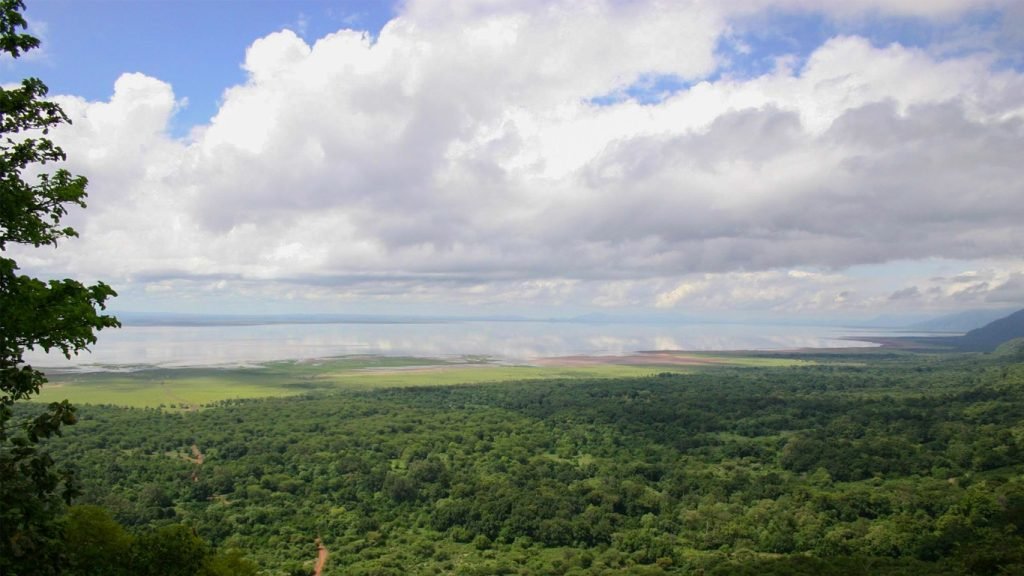 Lake Manyara and the groundwater forest from the Rift escarpment