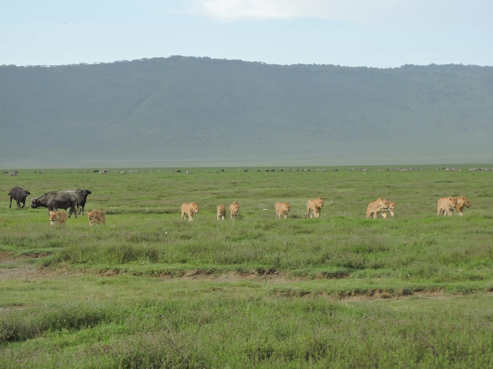 The crater floor beneath the wall