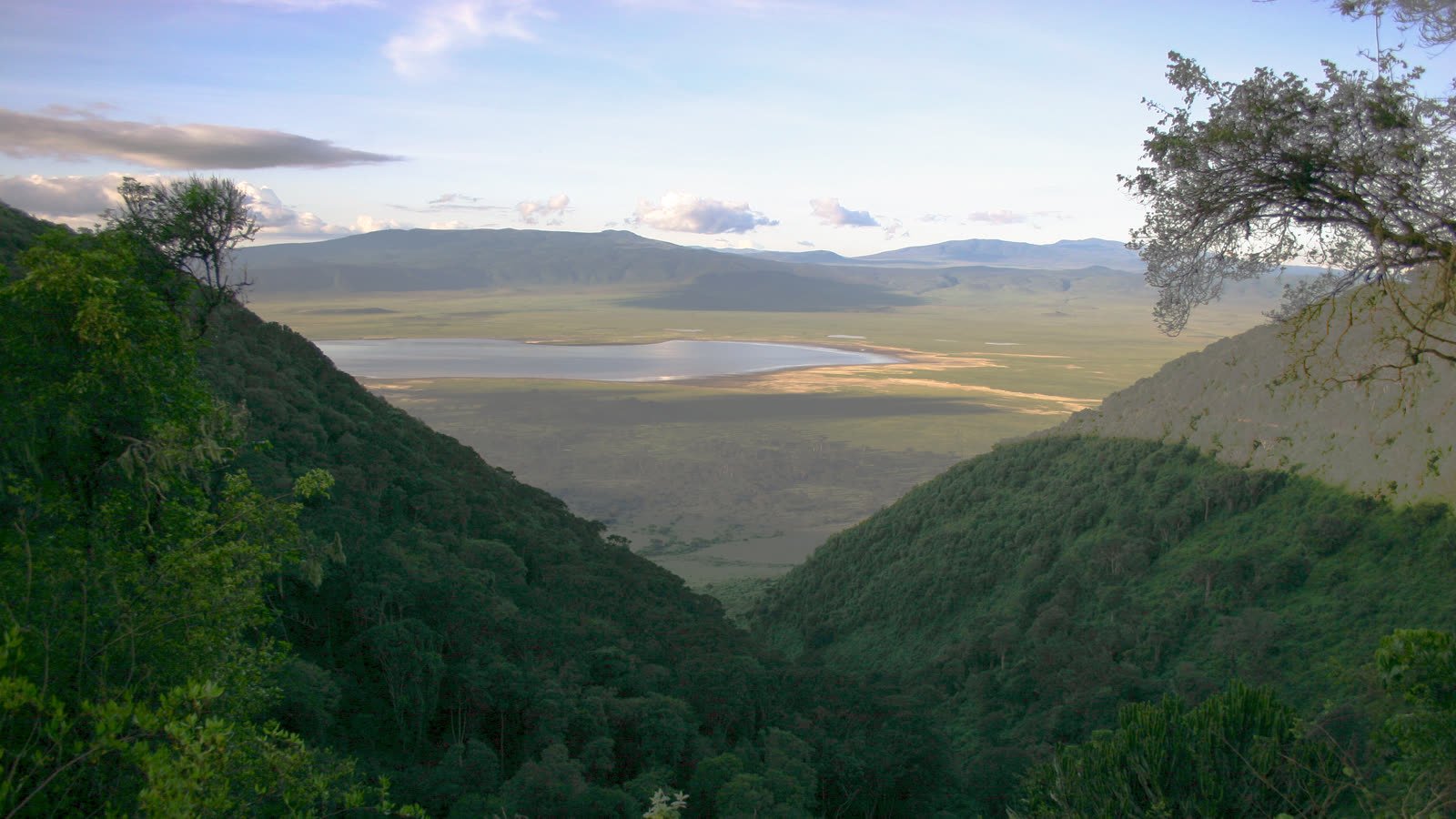 The crater seen from its forested rim