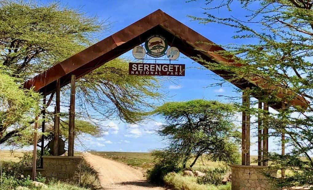 The timber arch of the Bologonja gate in the north Serengeti, the track running out onto the plain beyond