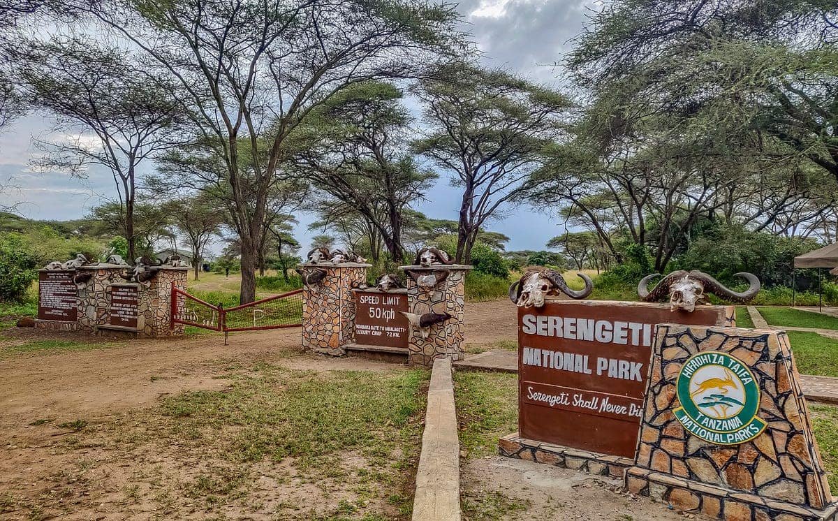 The Ndabaka entrance gate to the Serengeti, buffalo skulls along the stone posts