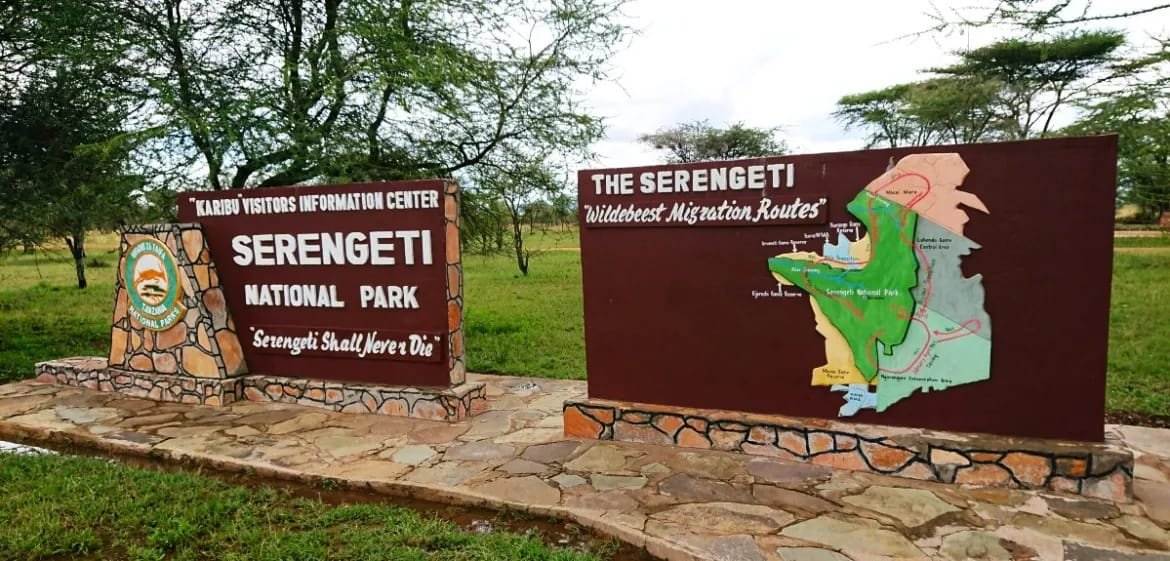 The Serengeti visitors' information centre board showing the wildebeest migration routes