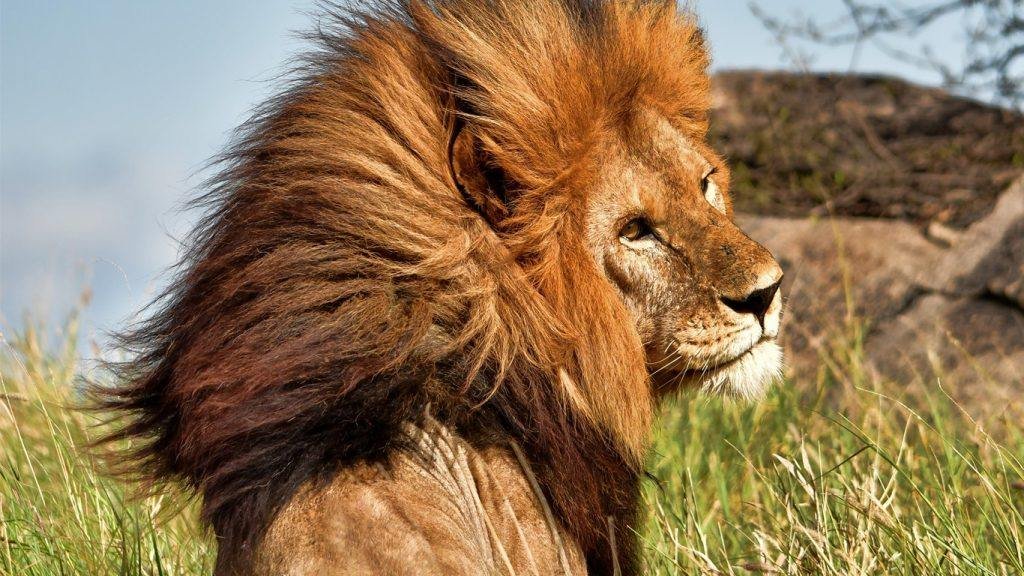 Serengeti National Park