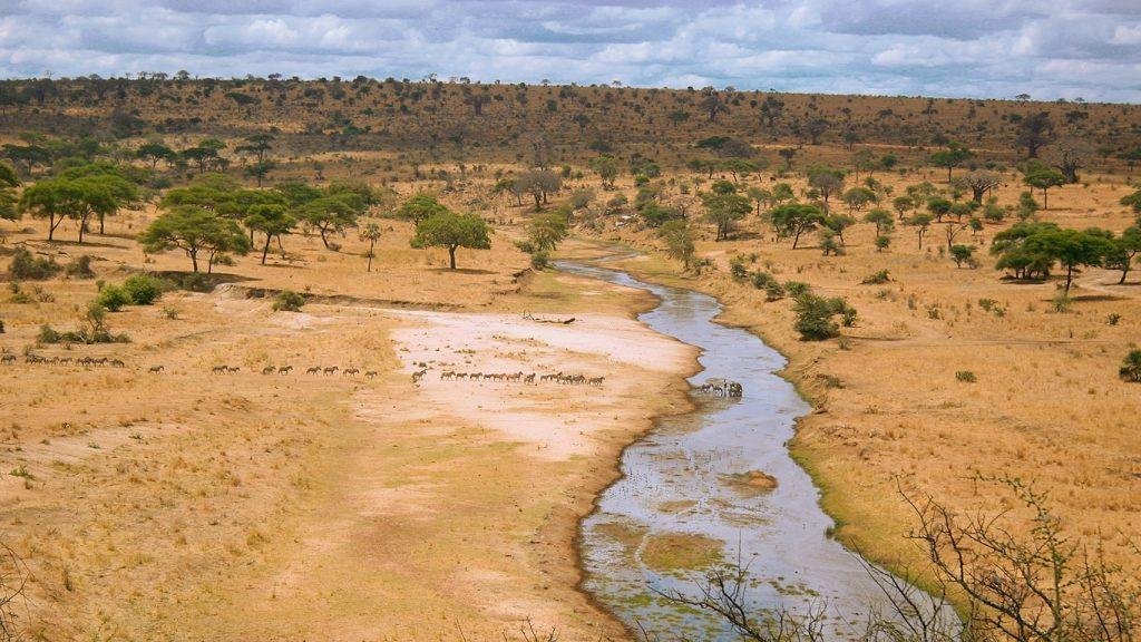 Tarangire National Park