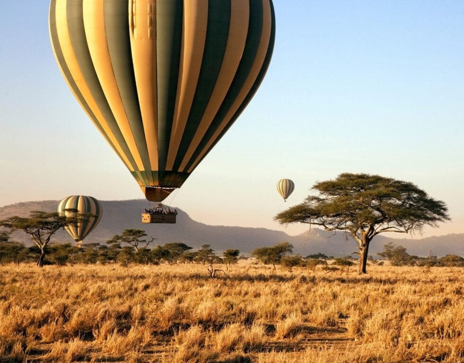 A hot air balloon drifting over the plains as the sun clears the horizon