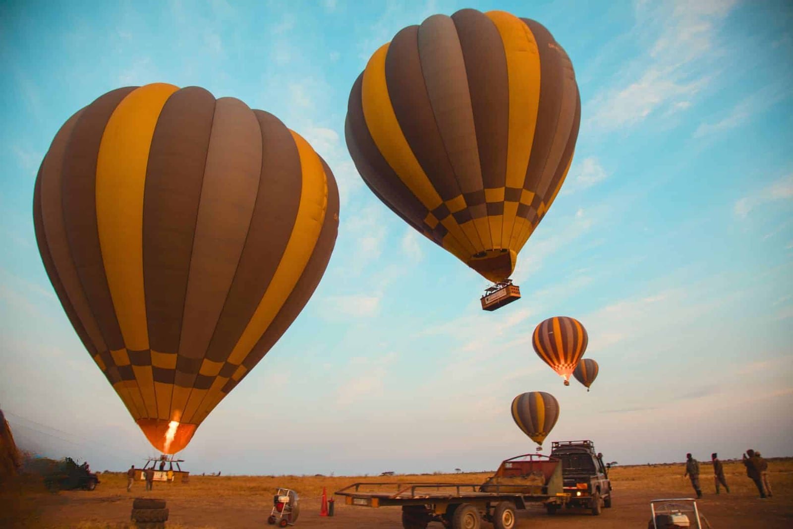 Two balloons touching down beside their recovery trucks as more balloons descend behind them