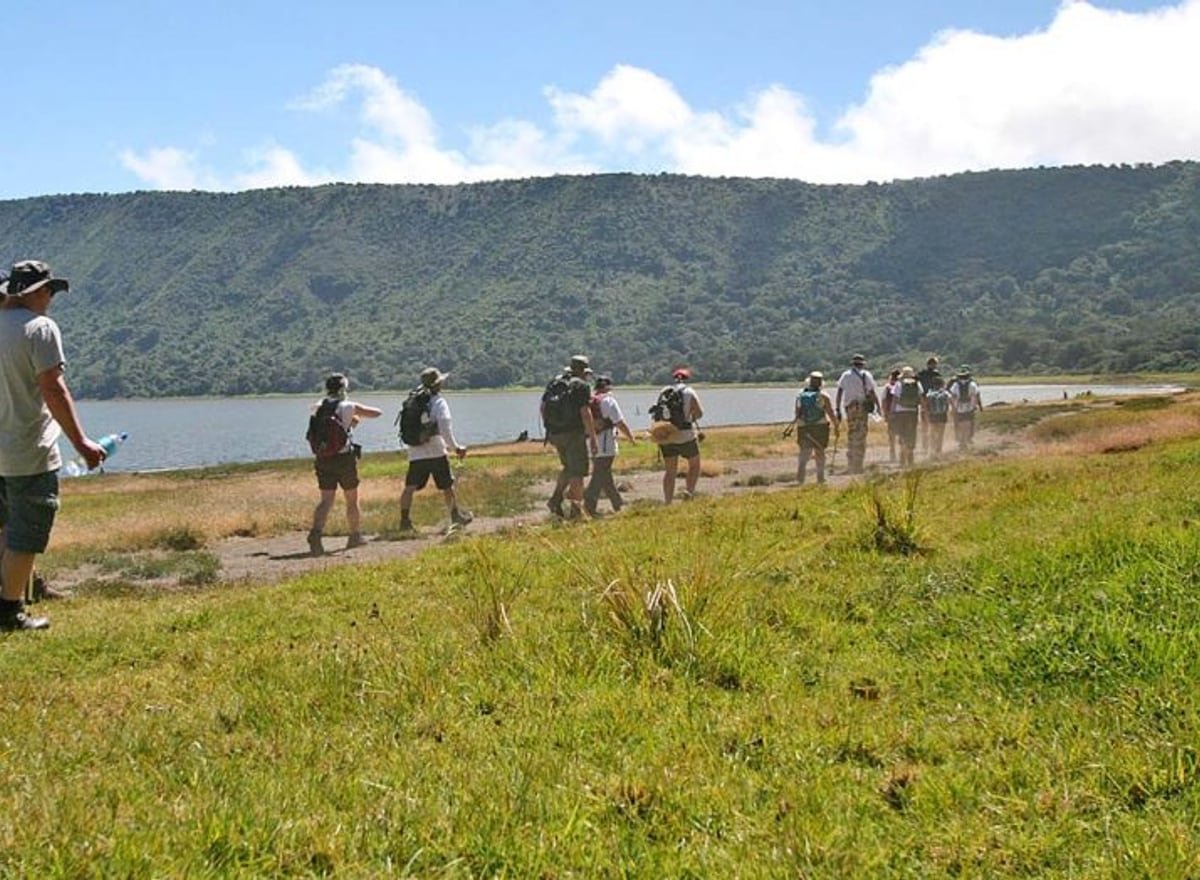 Walking Safari