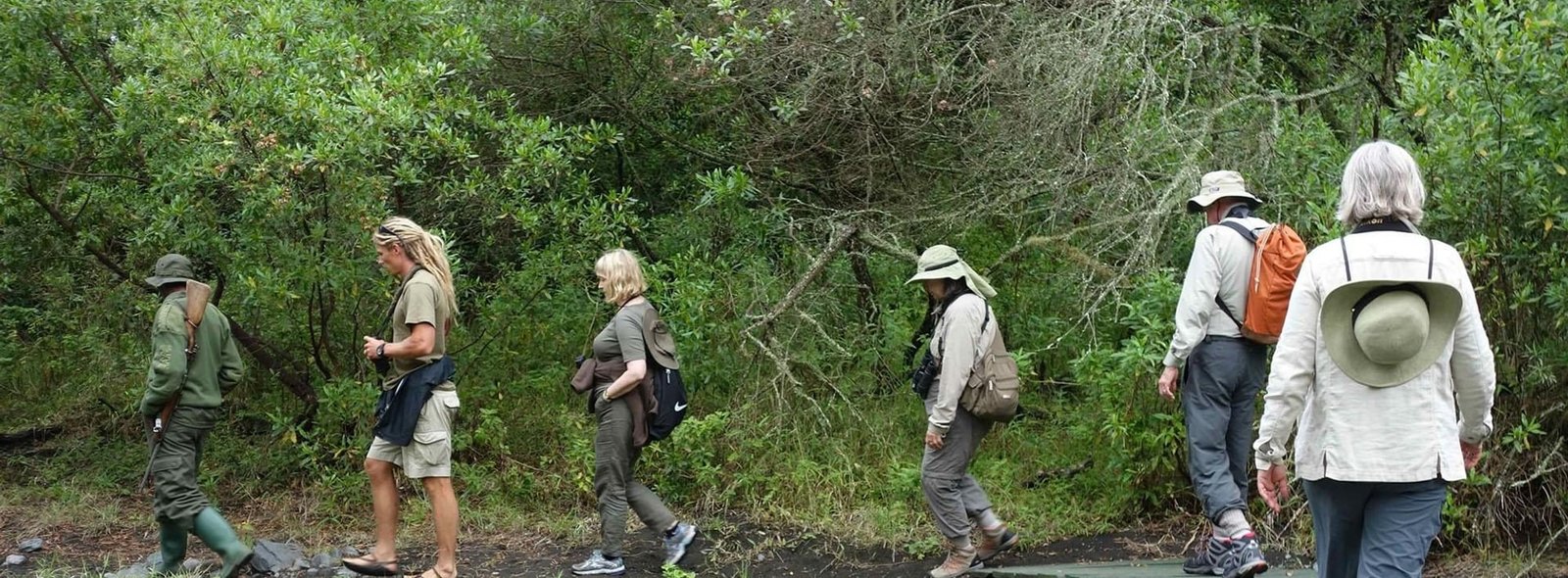 A guided walking group on a forest trail in the hills outside Arusha