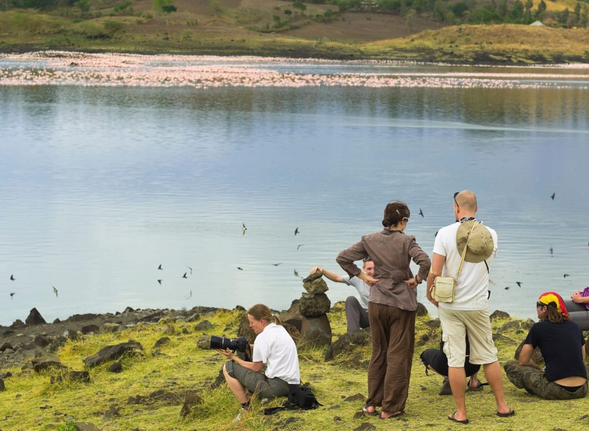 A guided group on the lake shore watching flamingos on the water
