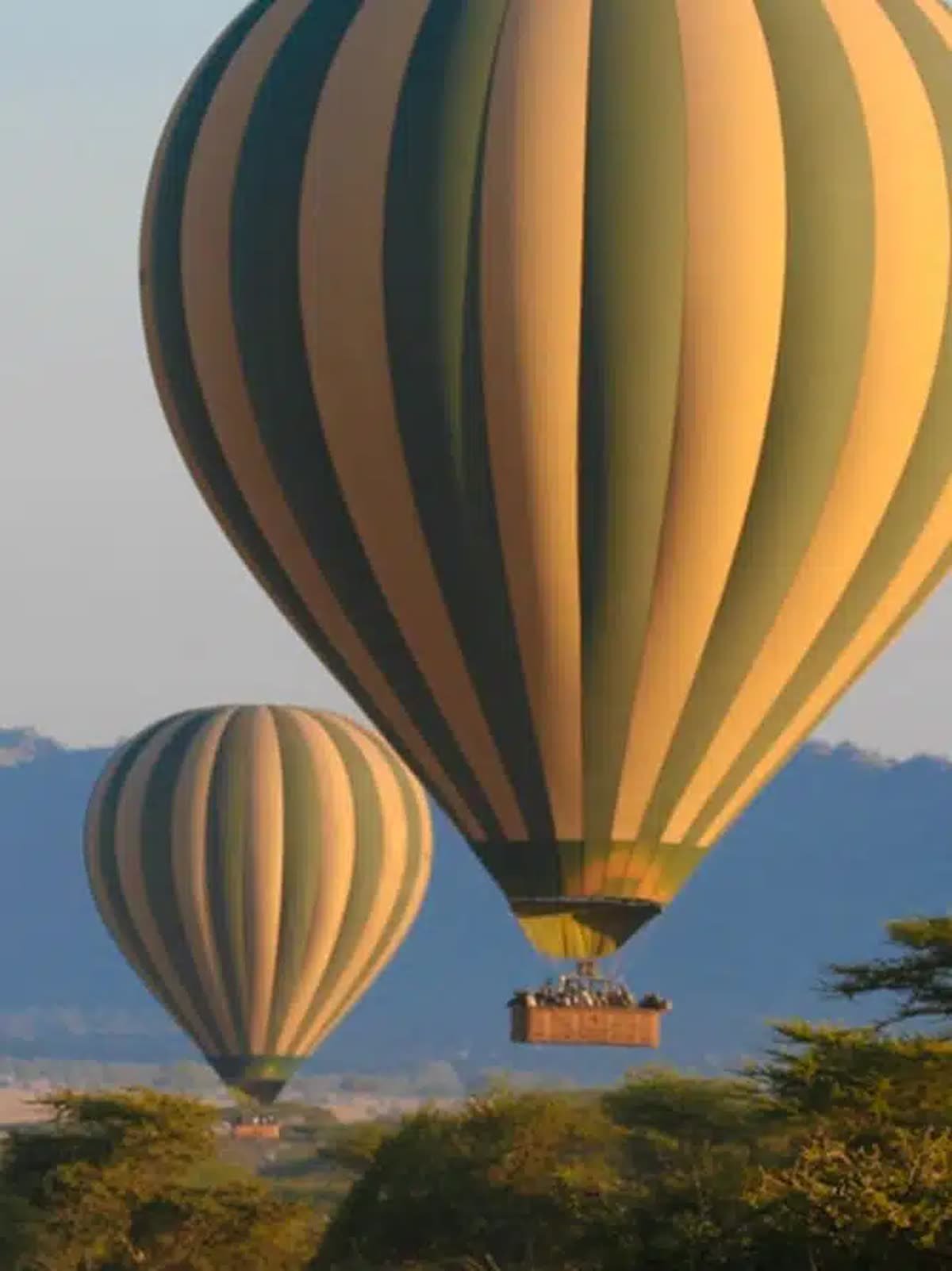 Hot-air balloons rising over the Serengeti