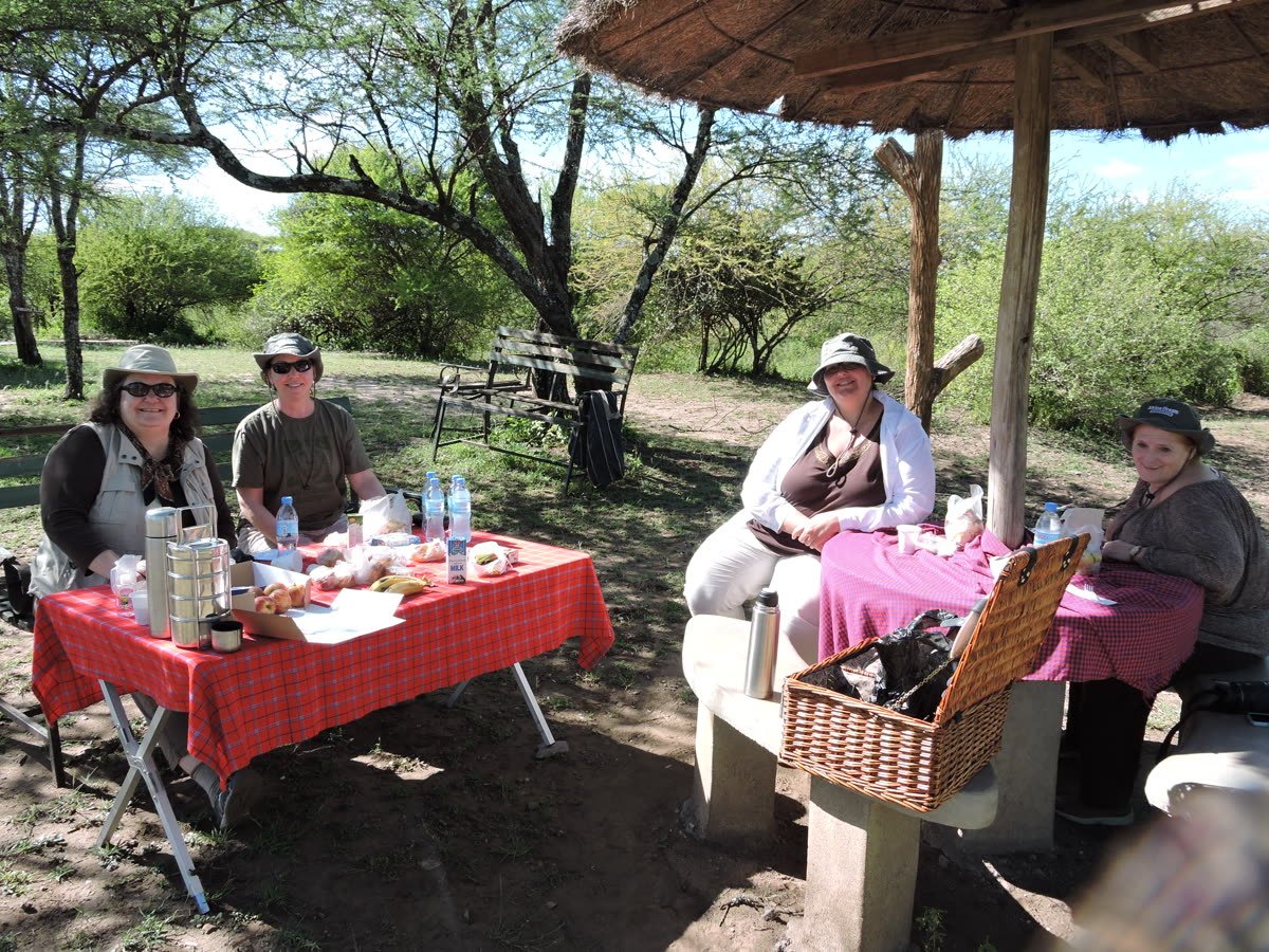 A bush breakfast laid out under a shade tree