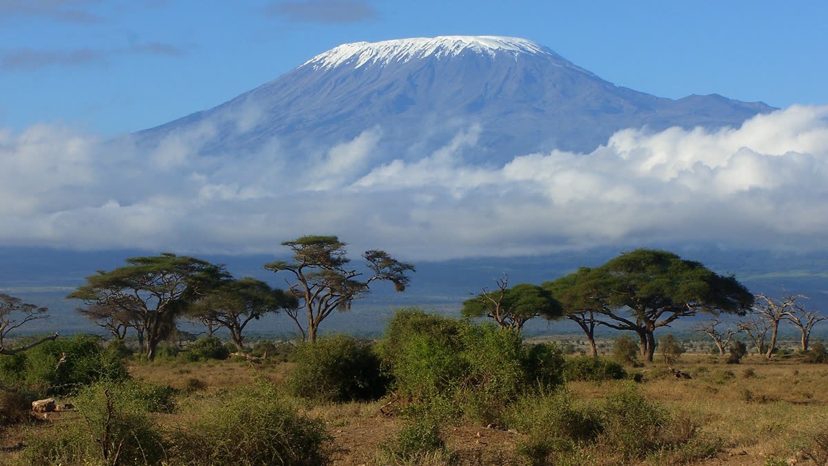 Mount Kilimanjaro rising above the acacia plain