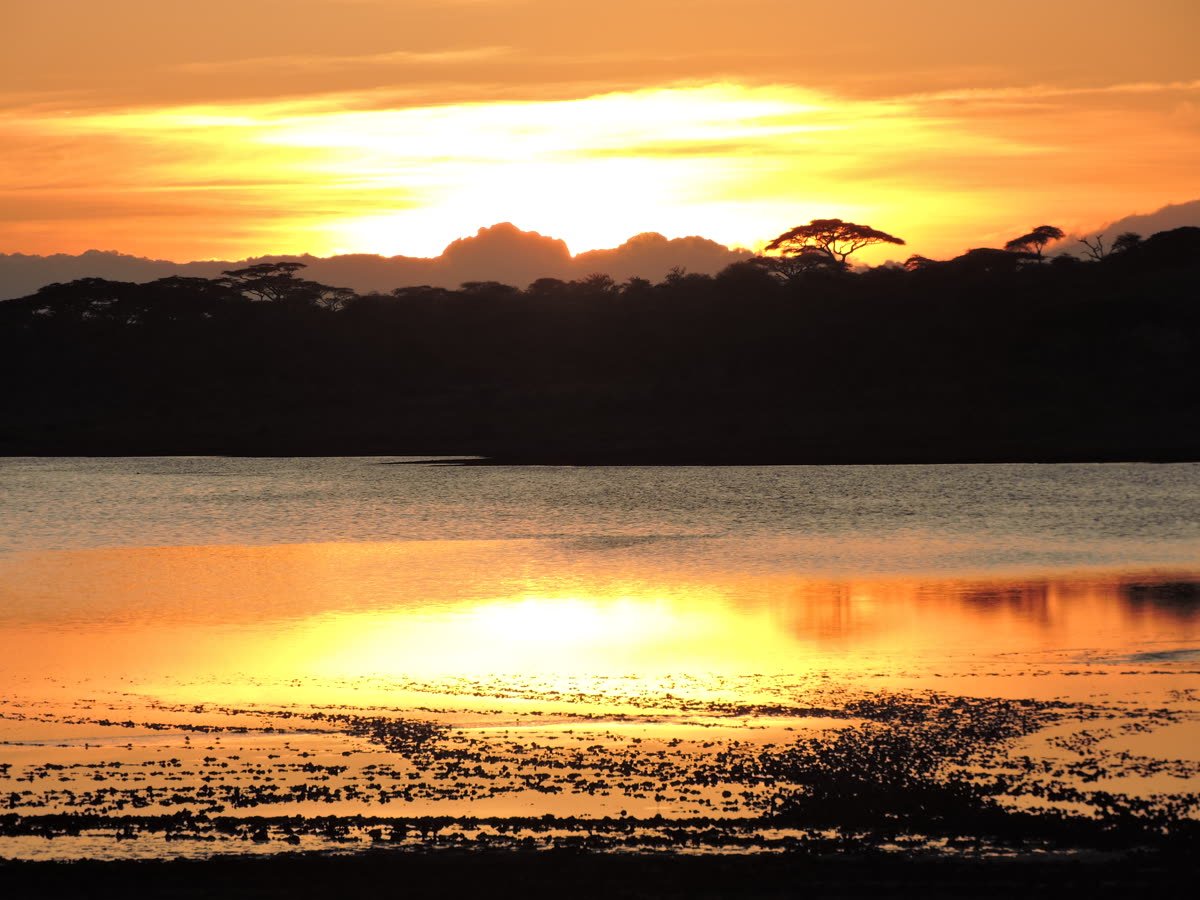 The sun setting in gold over still water