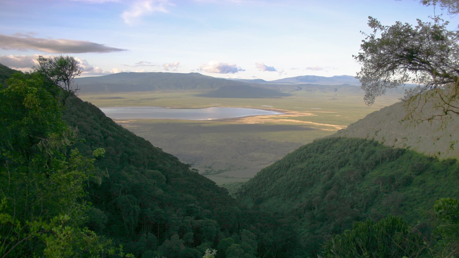 The Ngorongoro Crater seen from its forested rim