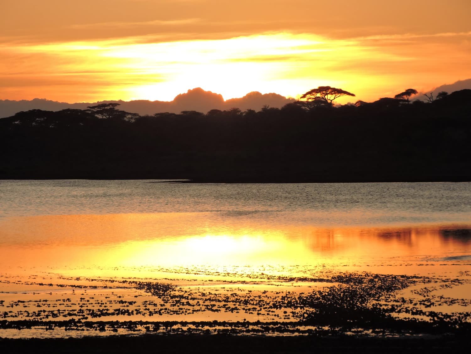 Sunset burning gold over a Rift Valley lake