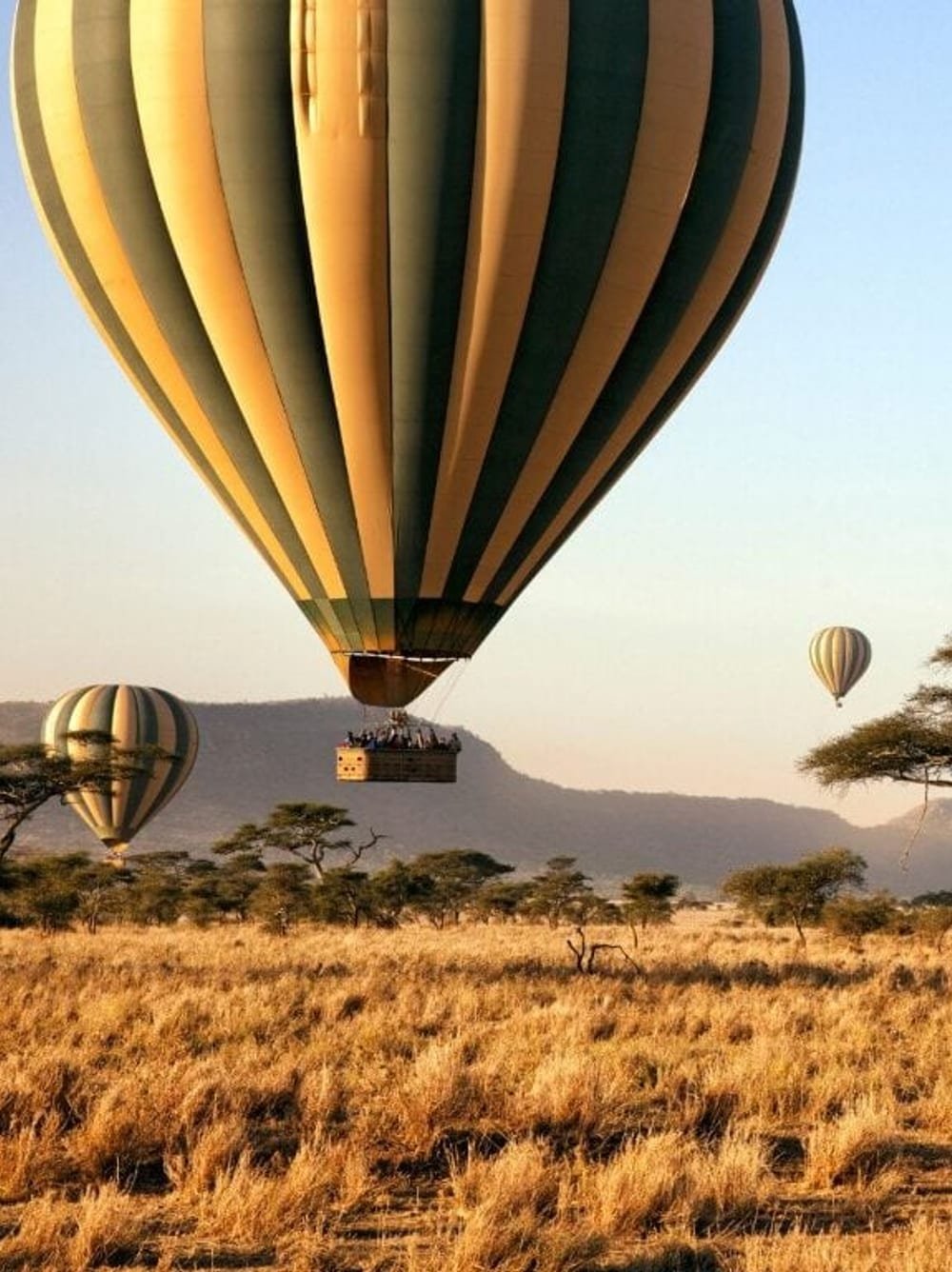 Balloon Safari