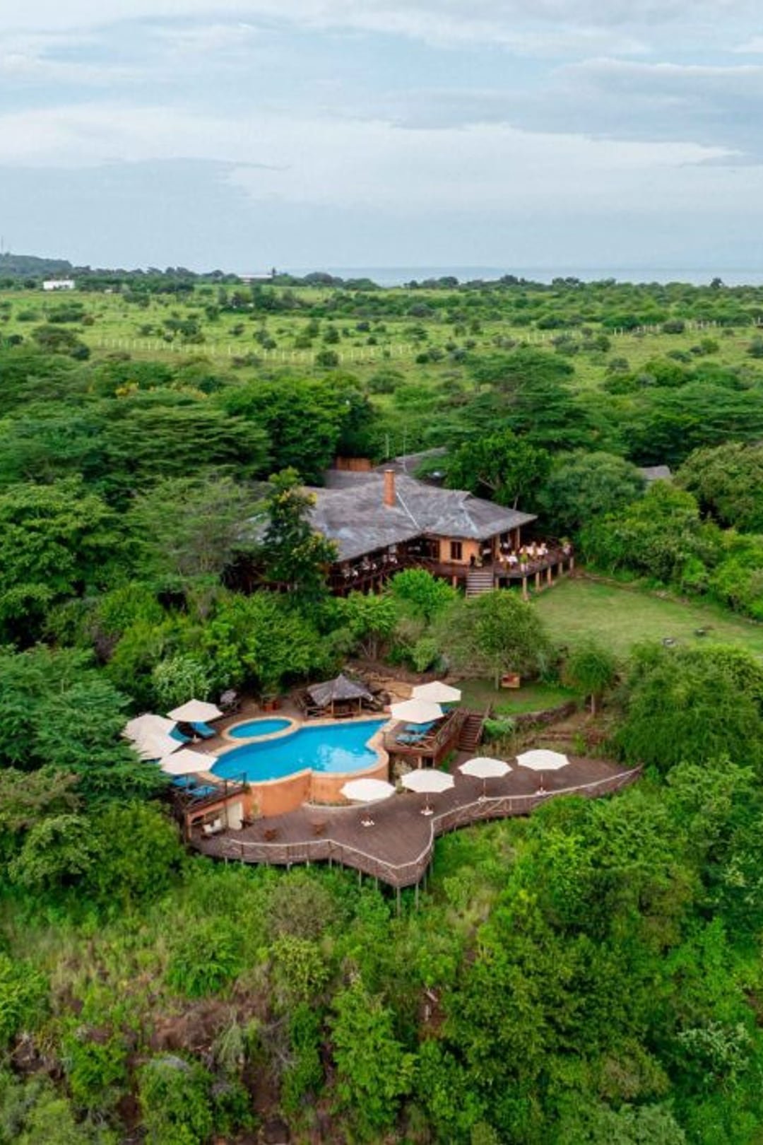 The pool deck and forest at Escarpment Luxury Lodge, above Lake Manyara