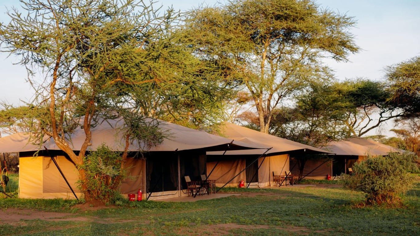 Kirurumu Tarangire Camp, Northern Tanzania circuit