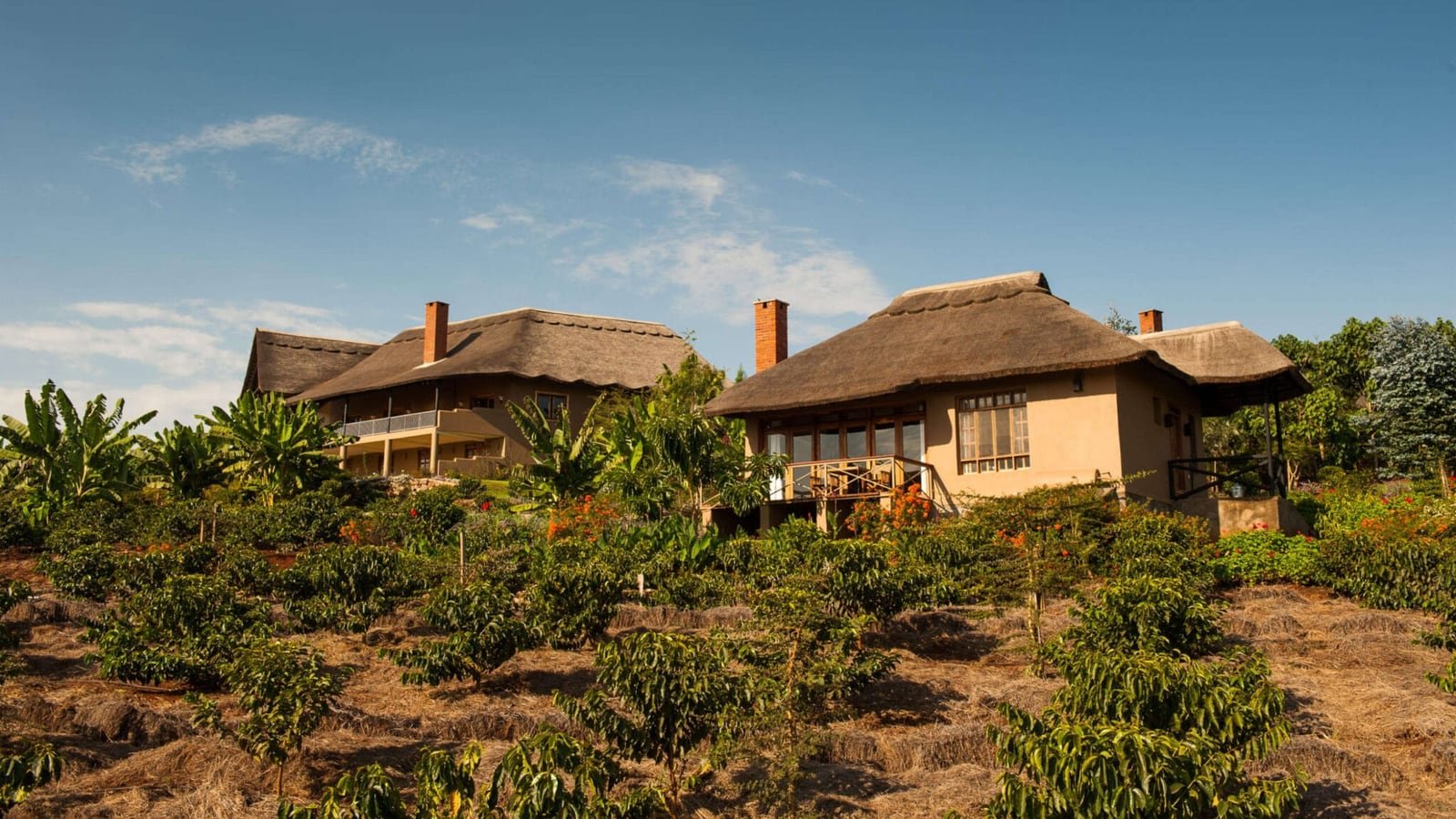 Kitela Lodge, Karatu highlands
