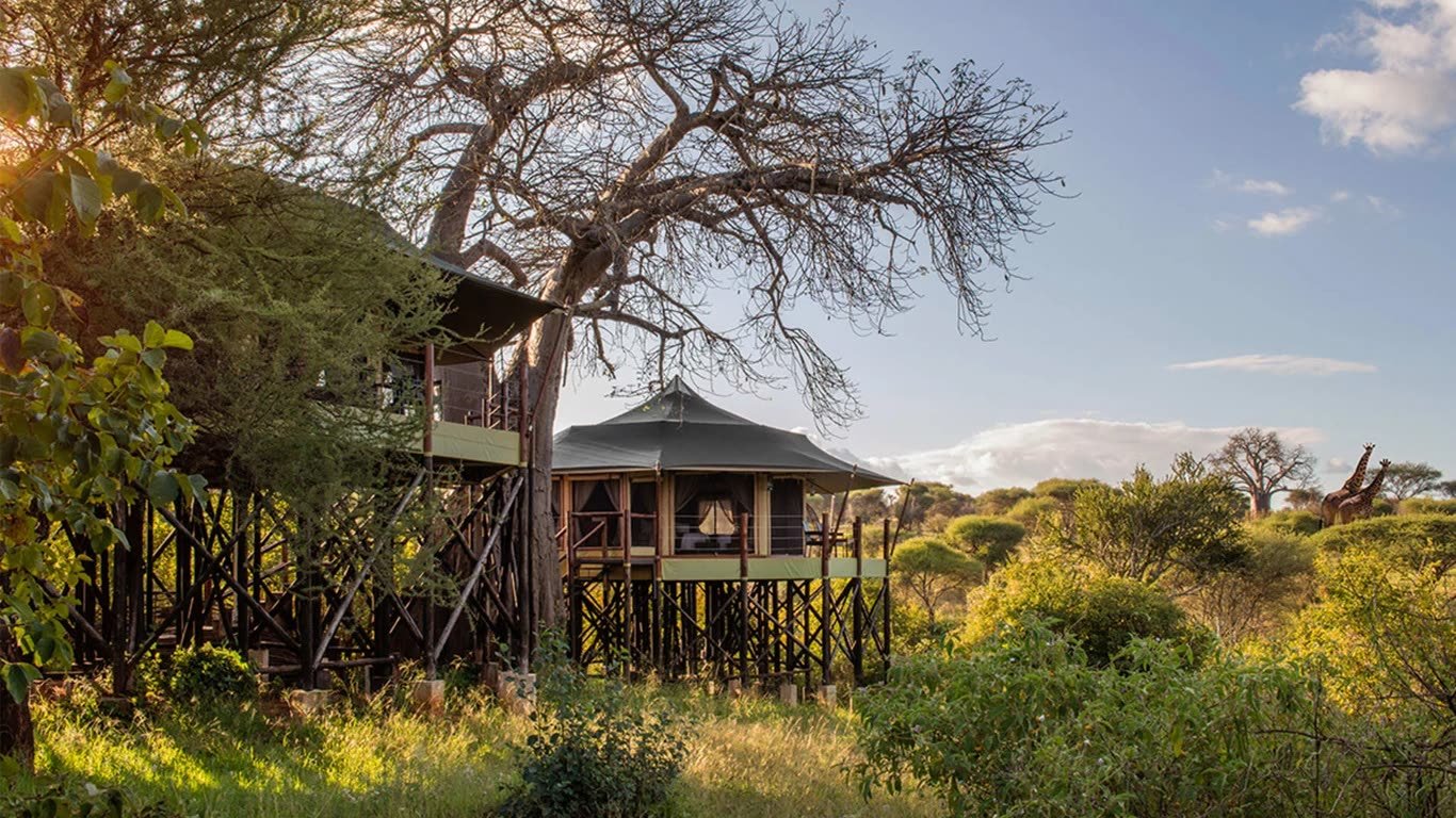 Kuro Treetops Lodge, Kopje Hill, park interior
