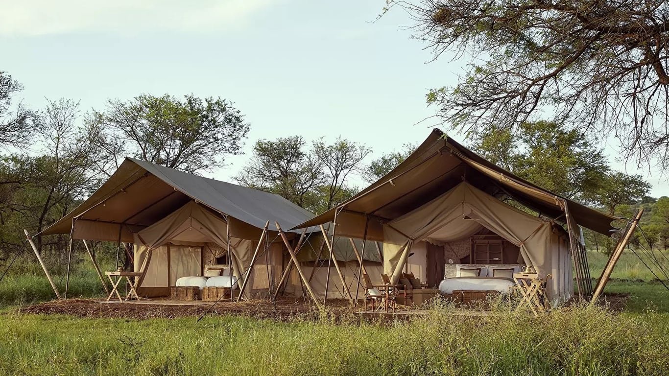 Laba Laba Migration Camp, Ndutu, western Serengeti, Kogatende