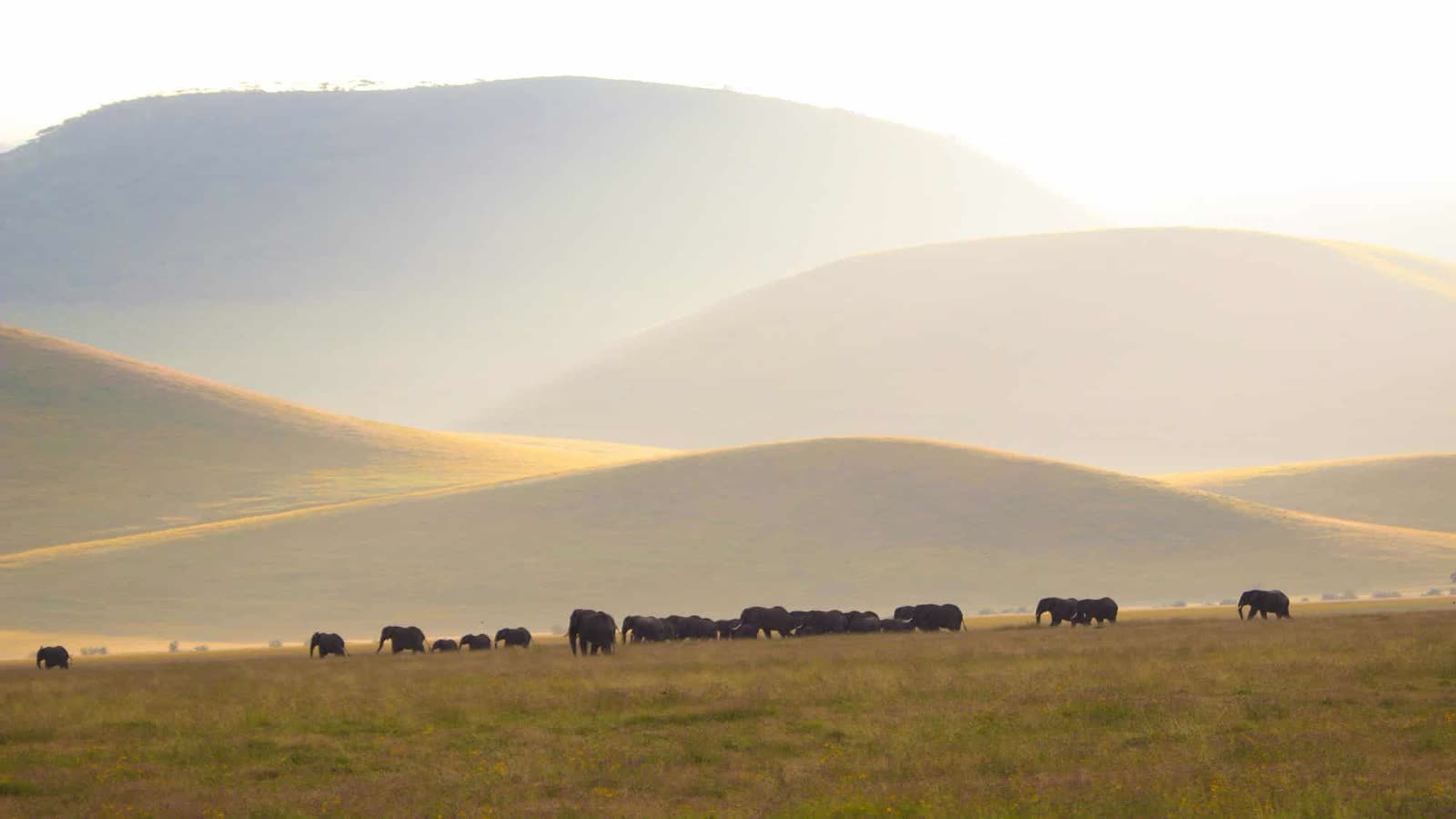 Ngorongoro Serena Lodge, Crater rim