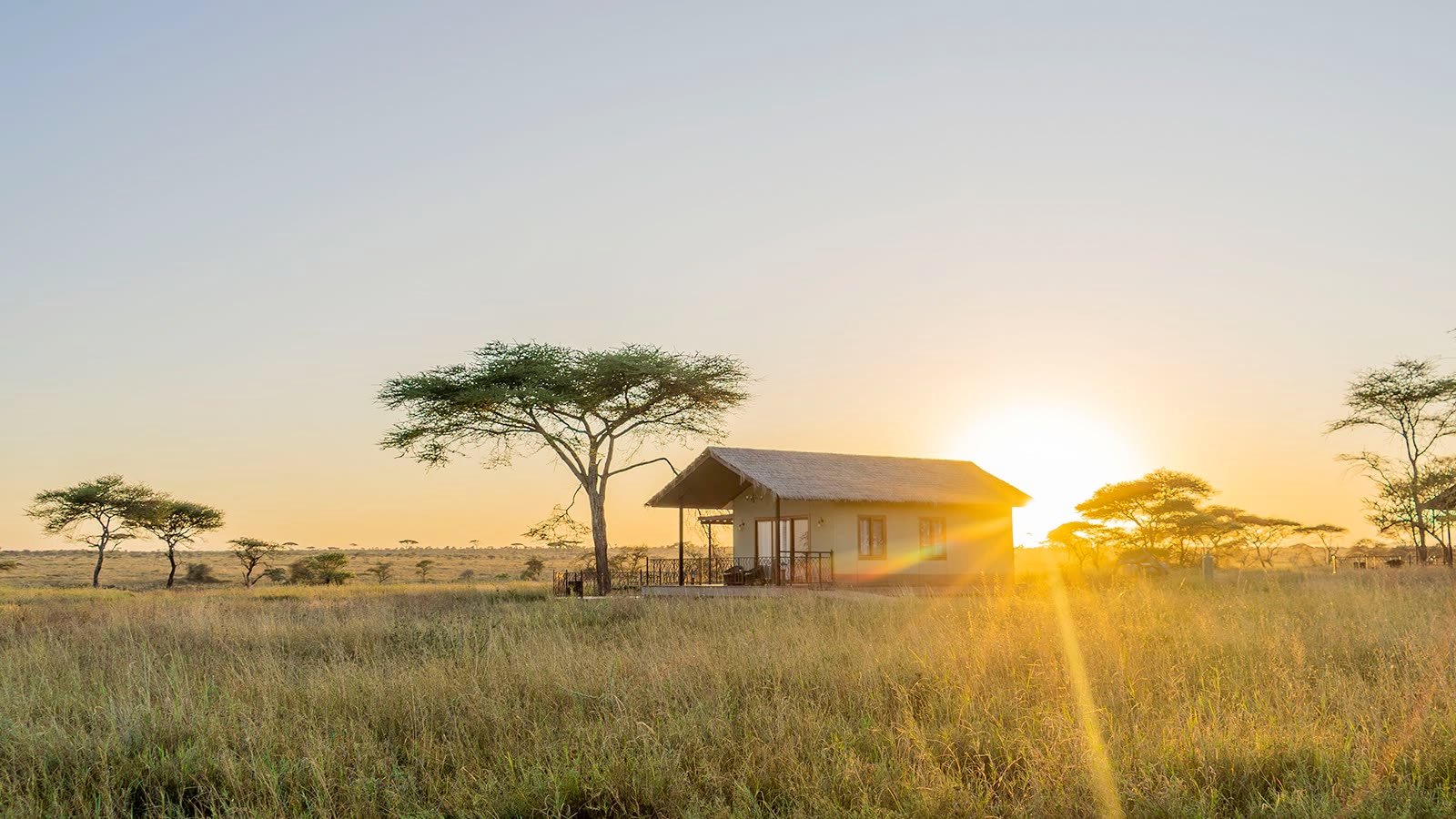 Sametu Camp, Sametu Kopjes, East Serengeti
