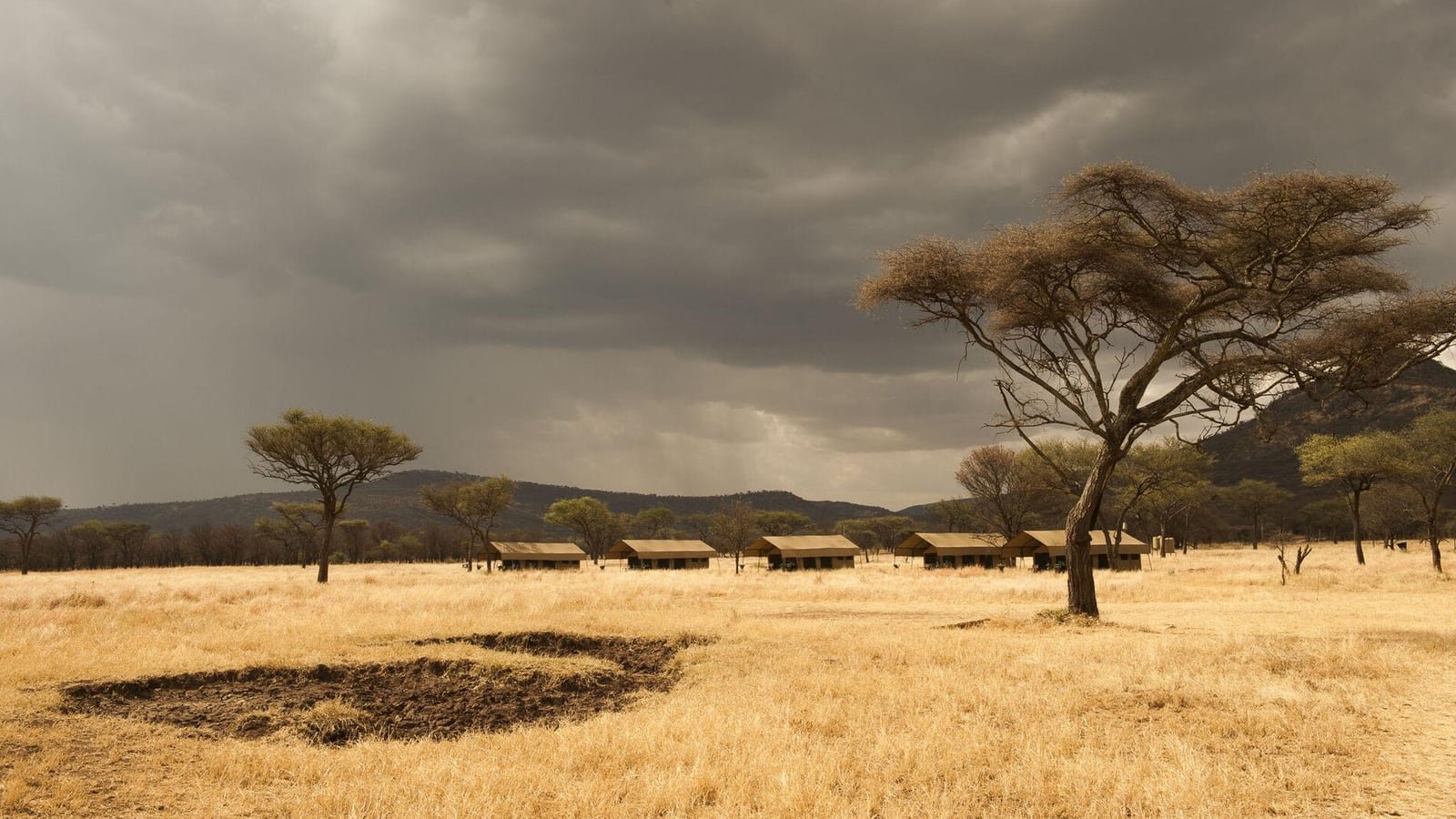 Serengeti Kati Kati Tented Camp, Seasonal camp positions, Serengeti