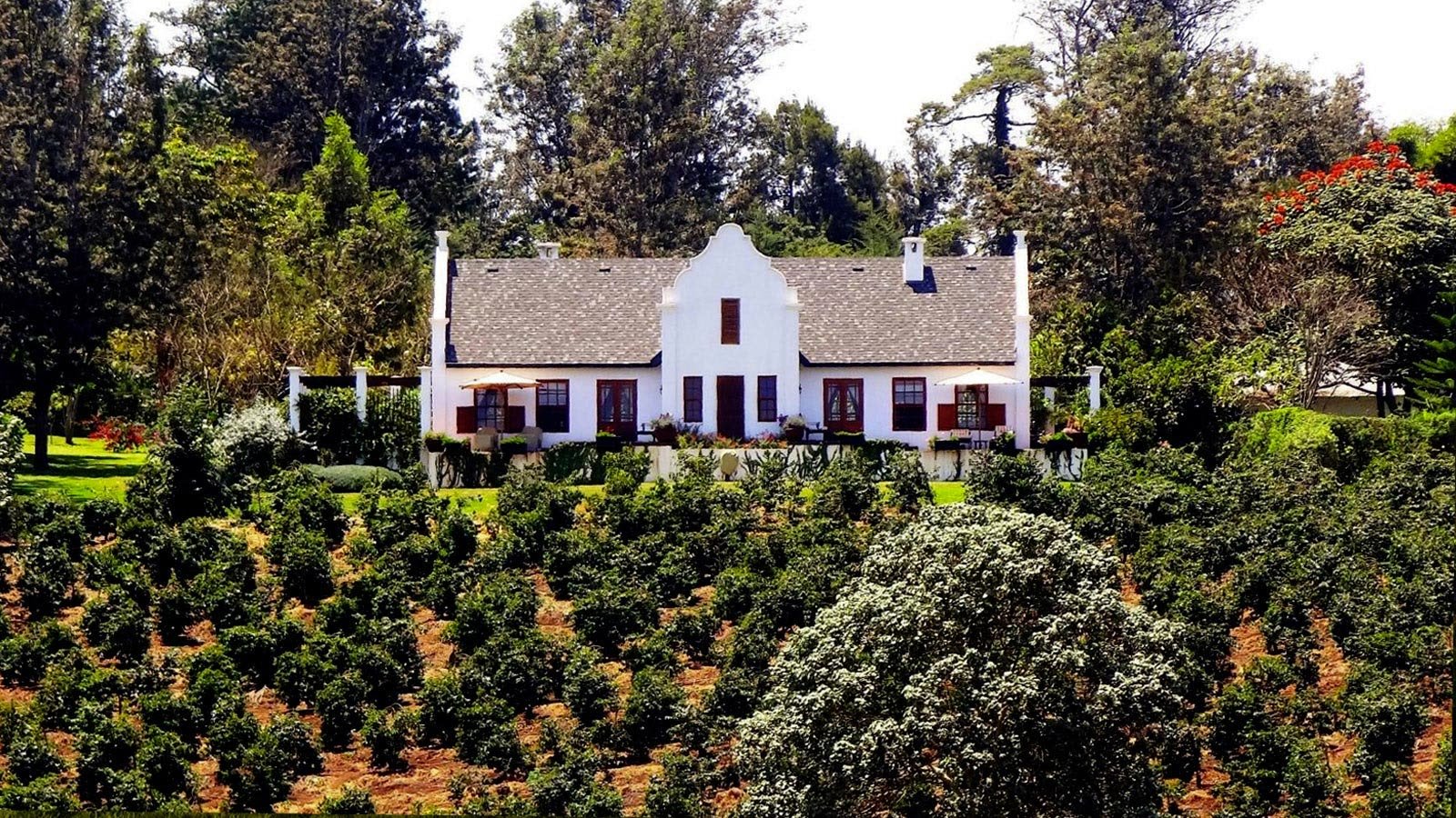 The Manor at Ngorongoro, Karatu, Ngorongoro highlands