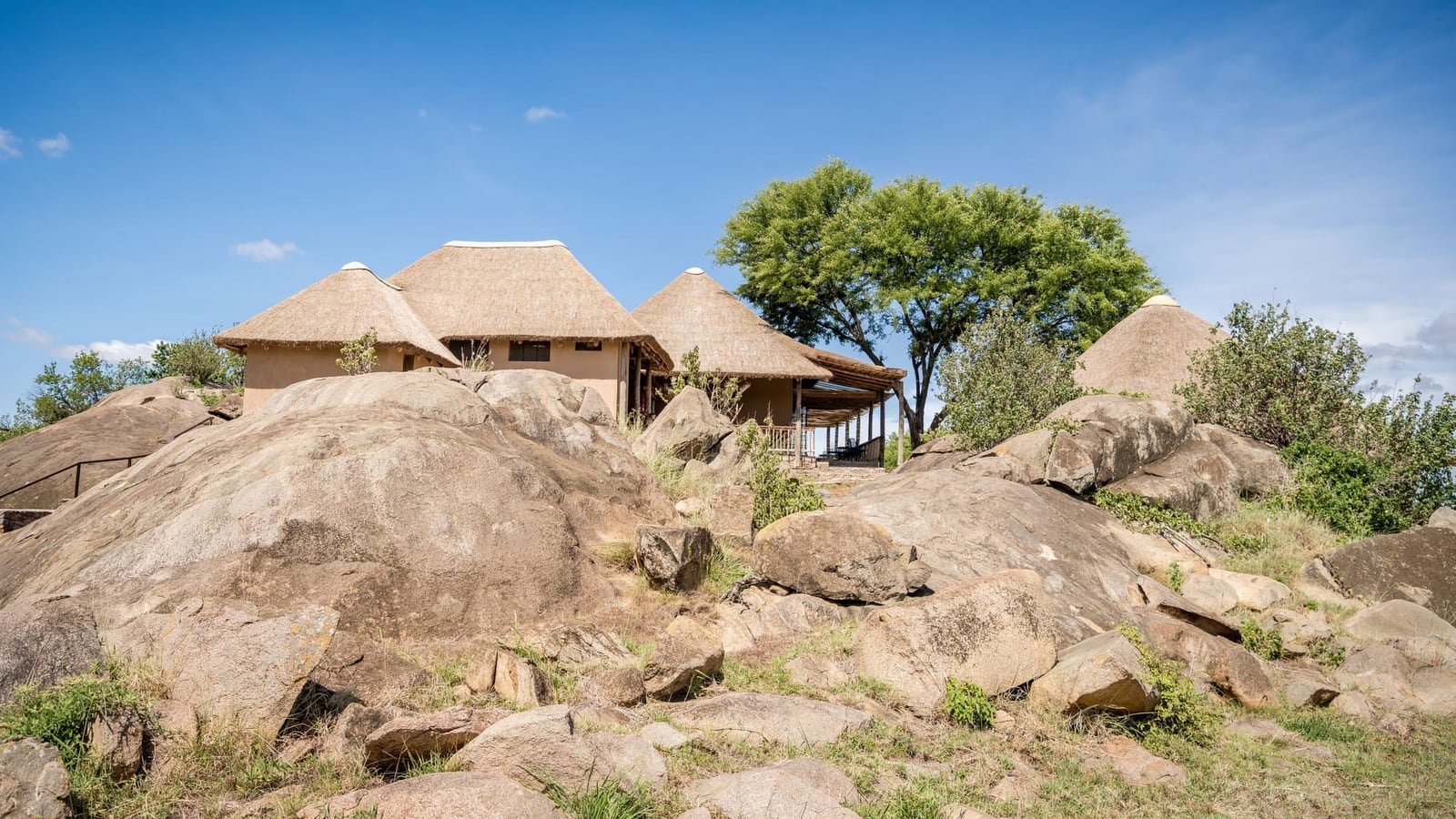 Togoro Plains Camp, Serengeti; position varies by season